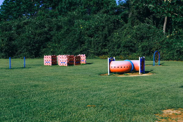 Dog Park at Kiesel Park